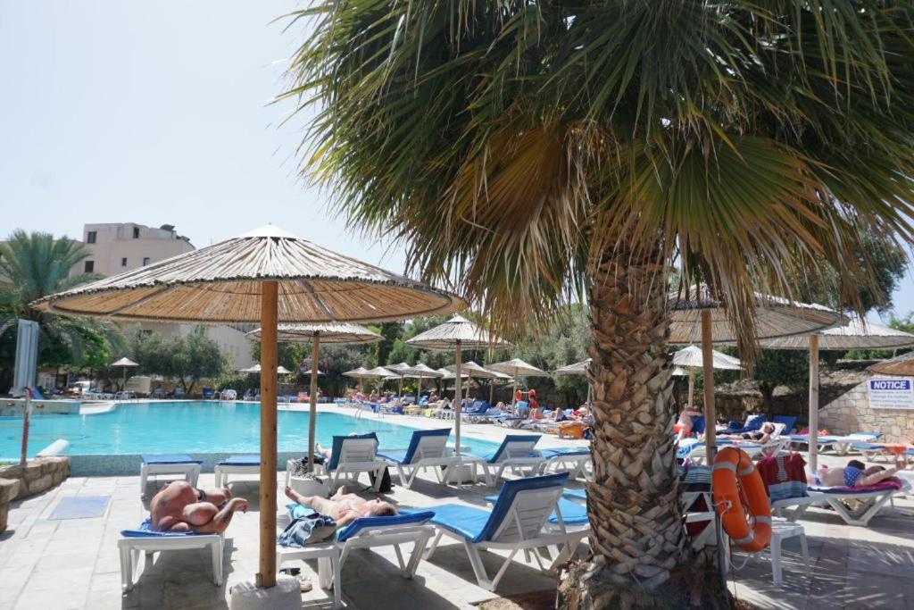 Paphos Alex'S Vacation Suite - 100M From The Beach - 6 Guests מראה חיצוני תמונה